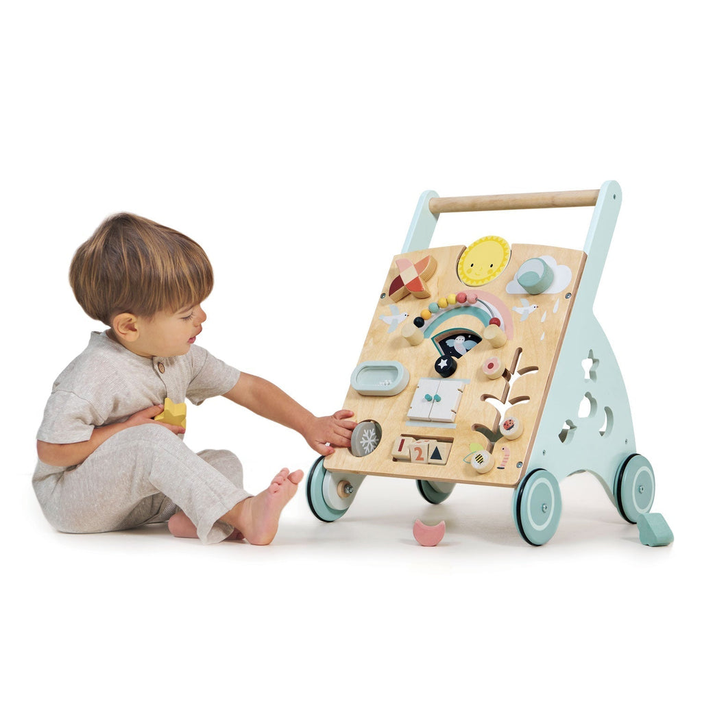 Baby Activity Walker