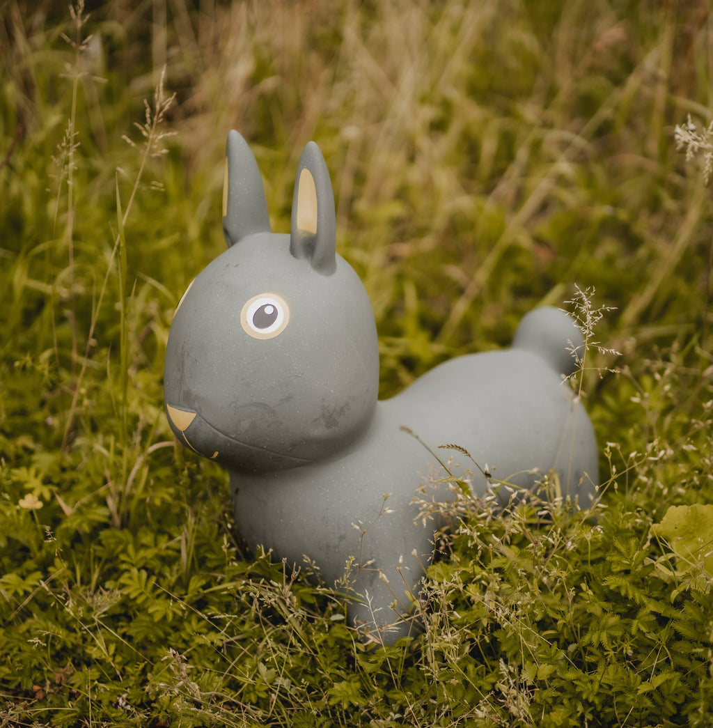 Rabbit Hopper Toy