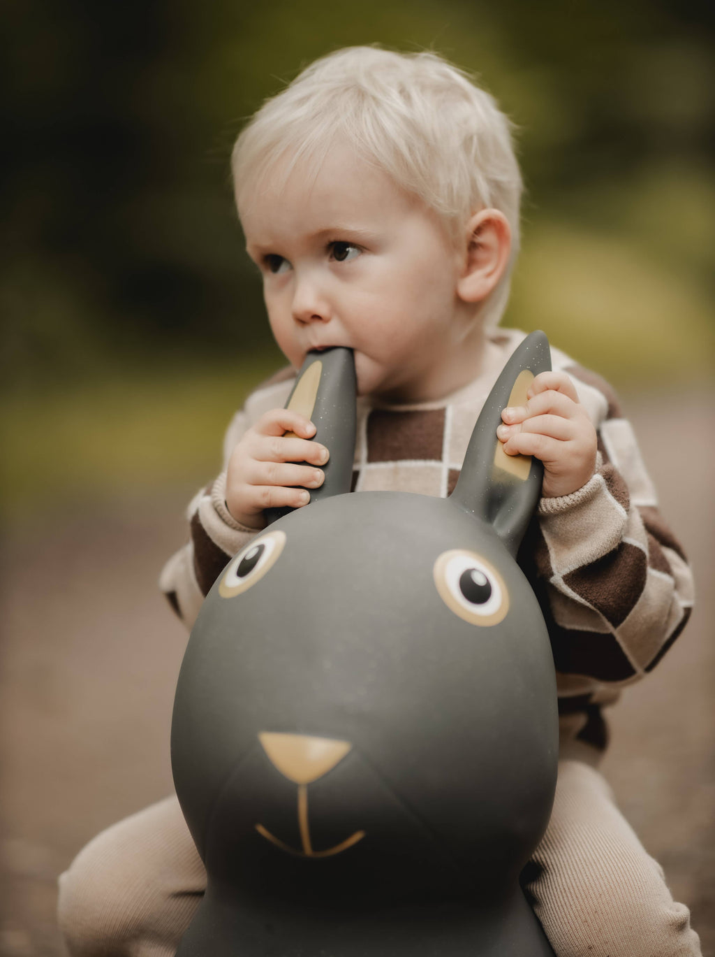 Rabbit Hopper Toy
