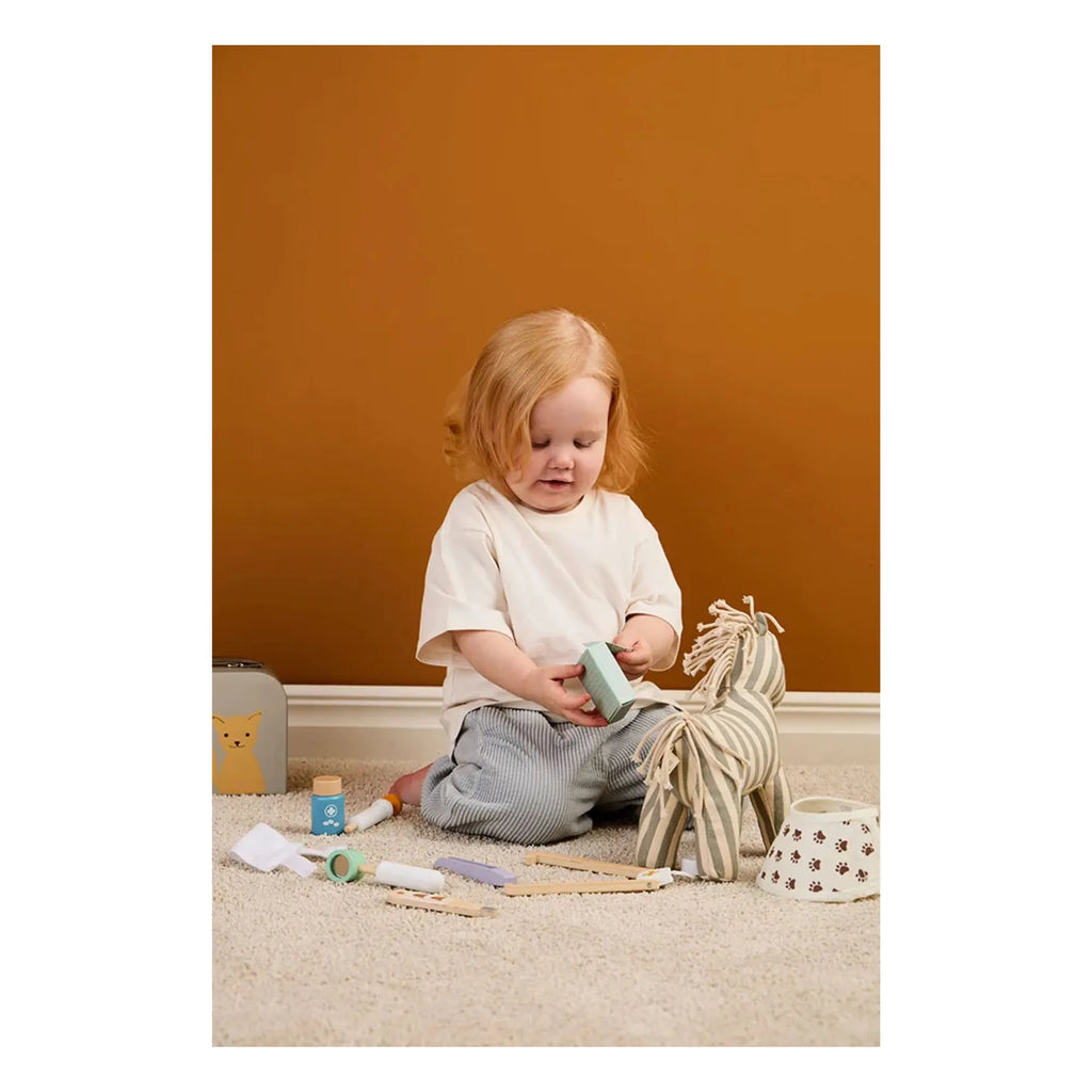 Veterinary Play Set