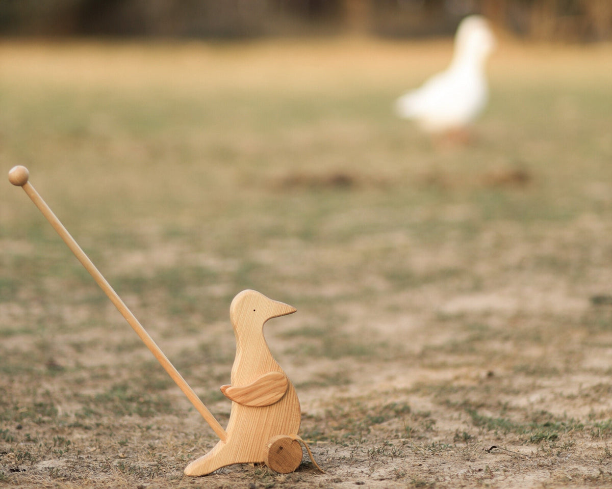 Duck Push Toy