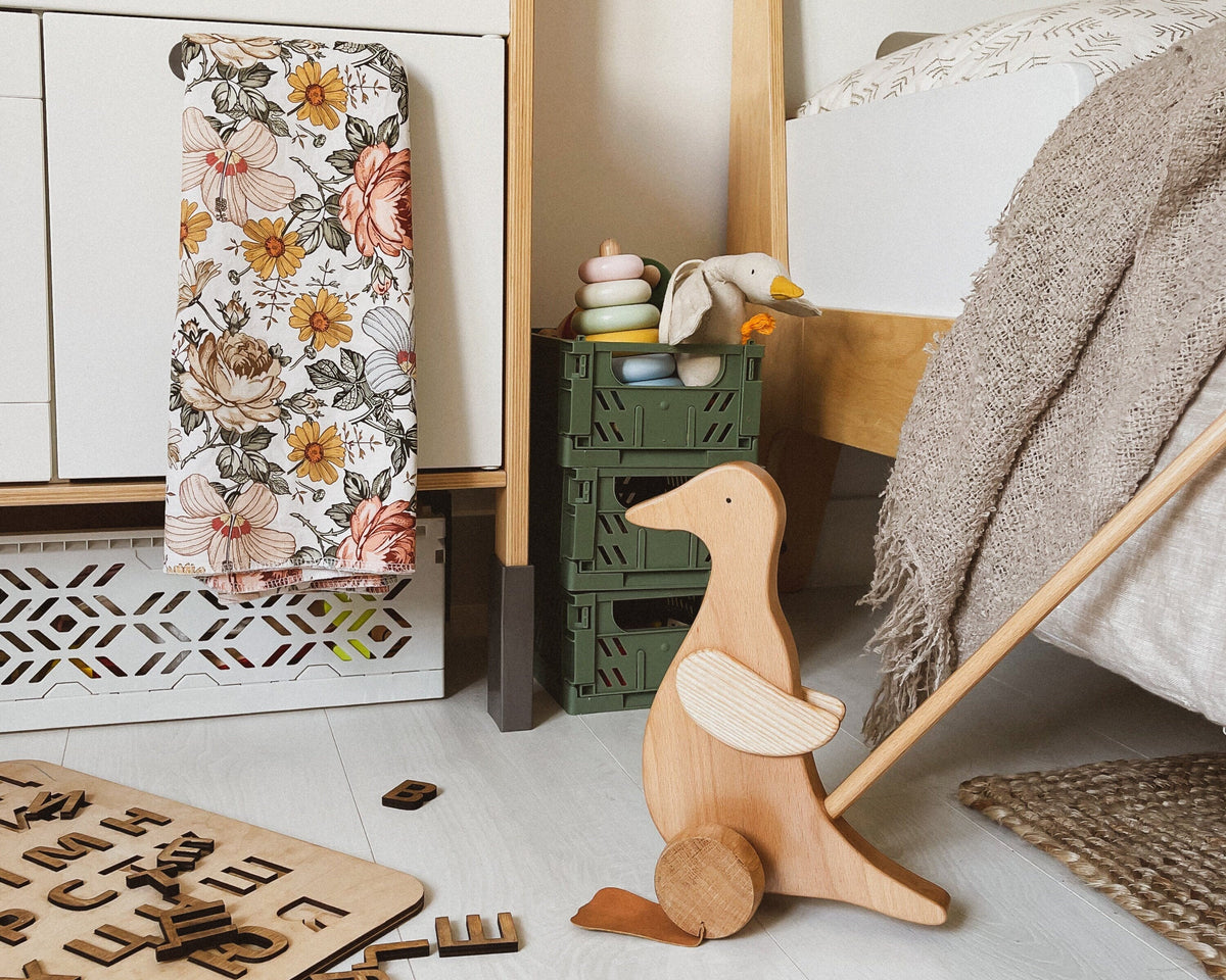 Duck Push Toy