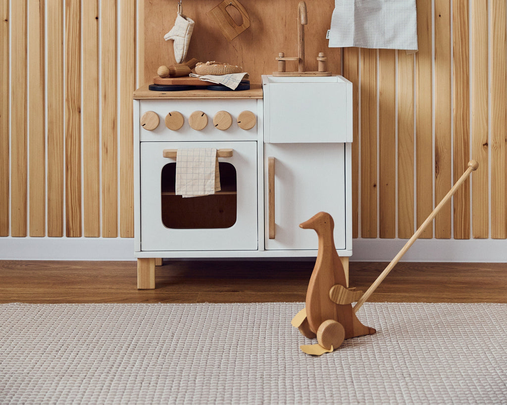 Duck Push Toy