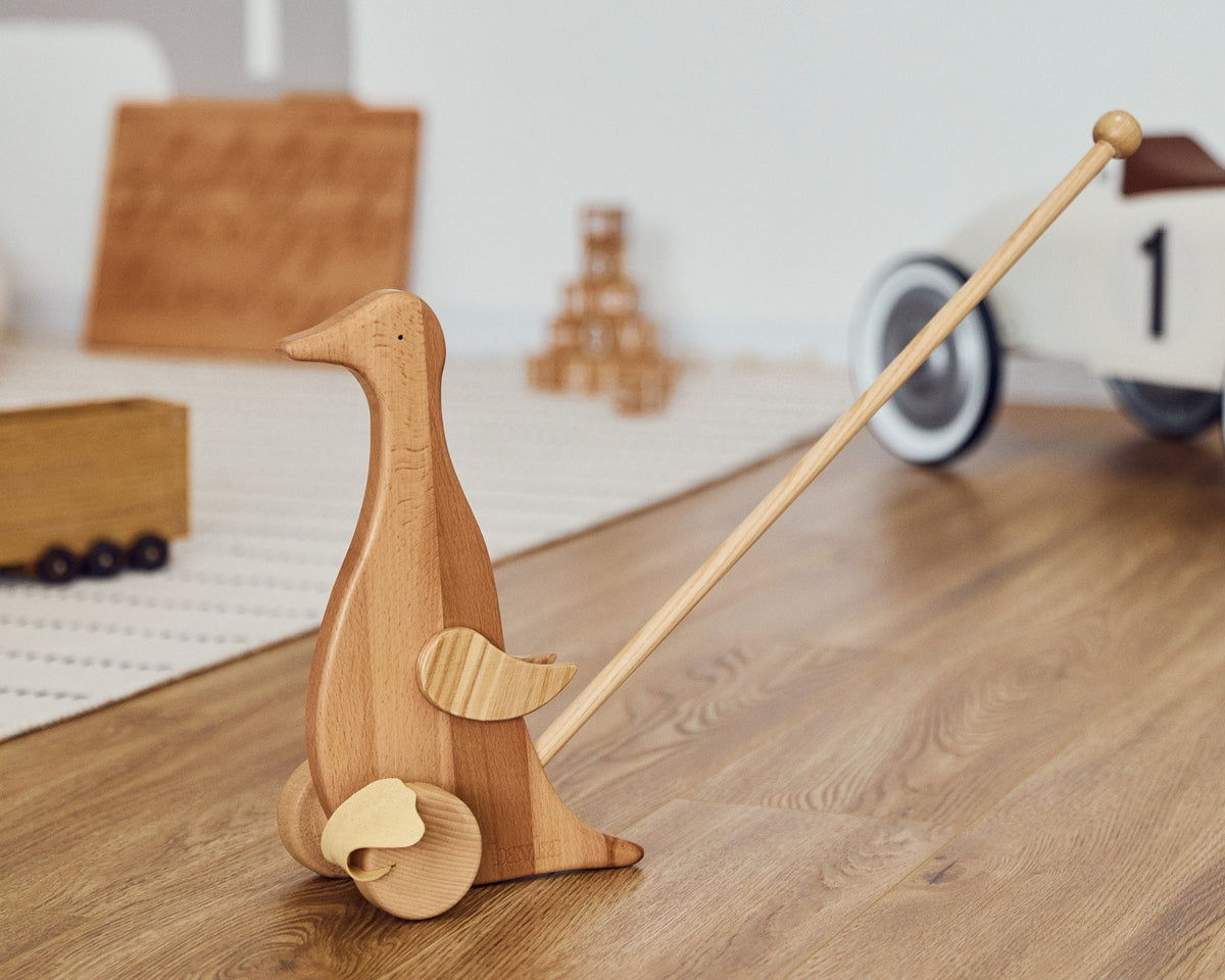Duck Push Toy