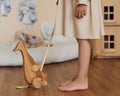 Duck Push Toy